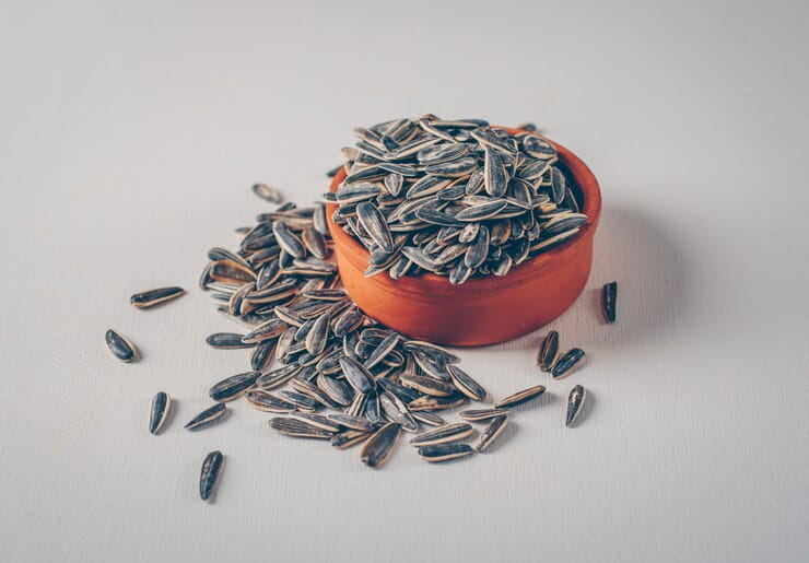 تصویر 4 از قیمت خرید تخمه آفتابگردان خام + فروش ویژه